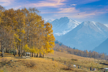 Enjoy the stunning beauty of the autumn Tien Shan mountains. Admire the colorful foliage and...