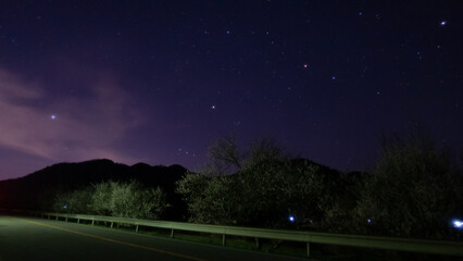 梅並木沿いの星空