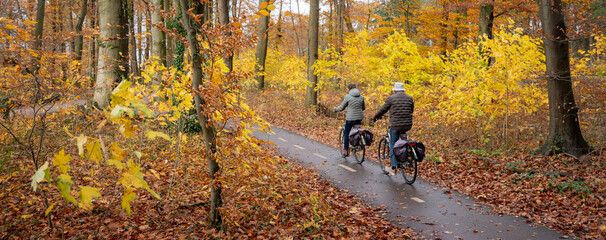couple on bicycle in fall forest near utrecht in the netherlands