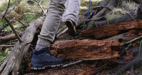 Feet close up of travelers group with trekking poles walking along trail in beautiful forest. Tourists discover amazing nature beauty. Concept of active leisure and outdoor exploration. Slow motion.