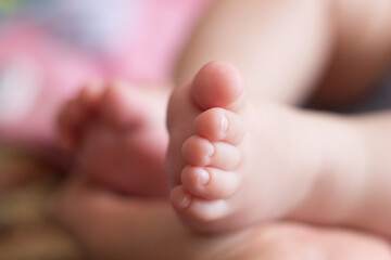 baby feet in a hand