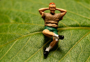 A gardener or botanist relaxing on a leaf.  An abstract macro image. - obrazy, fototapety, plakaty