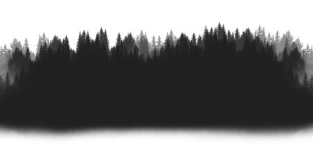 Forest silhouette, tree silhouette