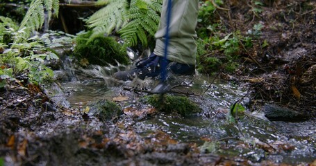 Close up shot of foliage and flowing clear stream in beautiful forest. Group of tourist with trekking poles step over creek. Hikers during trek or expedition in mountains. Active leisure. Slow motion.