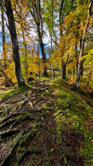 Enchanting Views of Lake Vyrnwy - Welsh Natural Splendor