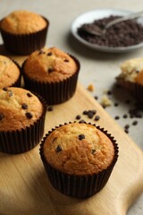 Delicious sweet muffins with chocolate chips on grey table, closeup