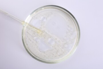Petri dish with liquid sample and pipette isolated on white, top view