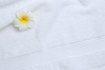Obraz na płótnie Canvas Plumeria flower on white terry towel, top view. Space for text