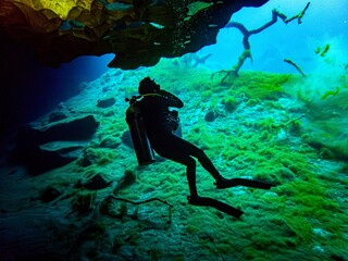 Local woman scuba divers swims in the entrance to the cavern at Royal Springs, Suwannee County, Florida