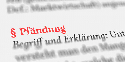 Das Wort Pfändung im Buch erklärt