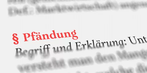 Das Wort Pfändung im Buch erklärt © Nico