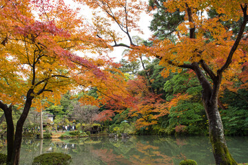 紅葉の兼六園の瓢池