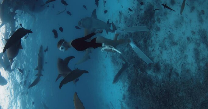 Woman freediver in a clear tropical water with nurse sharks in Maldives. Vertical footage