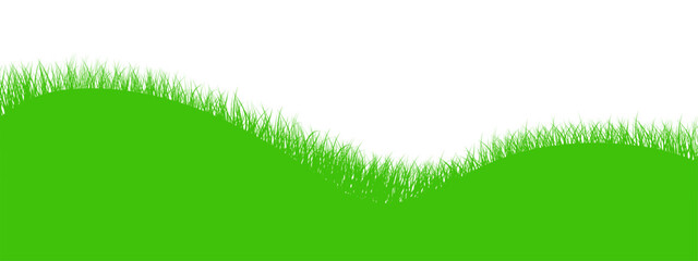 Green vector meadow on isolated background. Easter concept: spring, Easter, holiday. Green grass. Green meadow. Vector illustration EPS 10