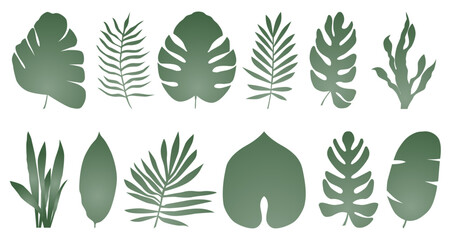Set of exotic tropical leaves of different types in gradient. Vector illustration isolated on white background. - obrazy, fototapety, plakaty