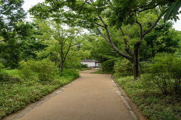 Fototapeta na wymiar Kokoen Garden in Himeji, Japan