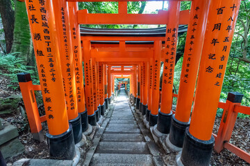 Torii gates in Fushimi Inari Shrine