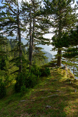 Durmitor National Park in Montenegro