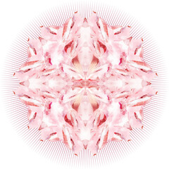rosafarbenes Rosenquarz Kristall Motiv in Blütenform