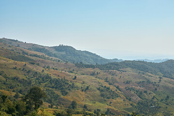Obraz premium Green hills of Doi Chang Mountains of Chiang Rai