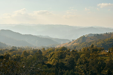 Fototapeta premium Green hills of Doi Chang Mountains of Chiang Rai