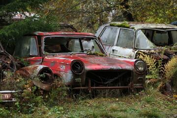 rost rostene autos autofriedhof schrottplatz wald umwelt natur verg&auml;nglich 