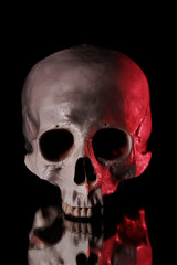 Fototapeta premium skull on a mirror