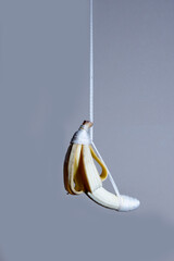 Banana on a rope