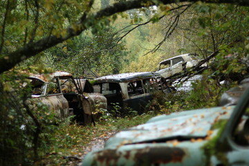 rost rostene autos autofriedhof schrottplatz wald umwelt natur vergänglich 