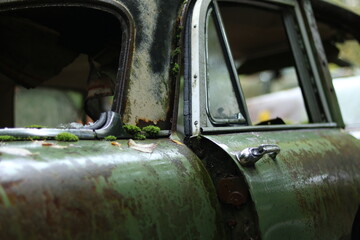 rost rostene autos autofriedhof schrottplatz wald umwelt natur vergänglich 