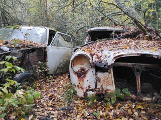 rost rostene autos autofriedhof schrottplatz wald umwelt natur vergänglich 