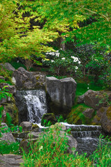 Kyoto Japanese green Garden in Holland Park green summer zen lake pond water in London, UK.