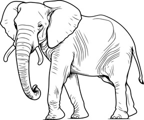 Elephant svg, elephant face SVG, elephant mandala SVG, elephant silhouette svg, baby elephant svg, cute elephant svg, alabama elephant svg