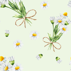 Watercolor seamless pattern with white daisy flowers illustration isolated on white background. Chamomile. Detail of beauty products and botany set, cosmetology and medicine. For designers,
