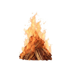wood burning in a fire