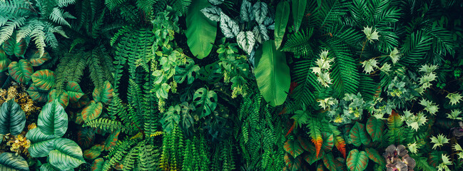 Close up group of background green leaves texture and Abstract Nature Background. Lush Foliage...