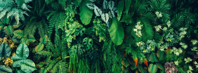 Fotobehang Close up group of background green leaves texture and Abstract Nature Background. Lush Foliage Textures. Exotic Greenery and Botanical Patterns. © NewSaetiew