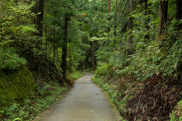 Walking the road following the Nakasendo trail between Nagiso and Tsumago in Kiso Valley, Japan.