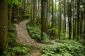 Walking the cobblestone road following the Nakasendo trail between Tsumago and Magome in Kiso...