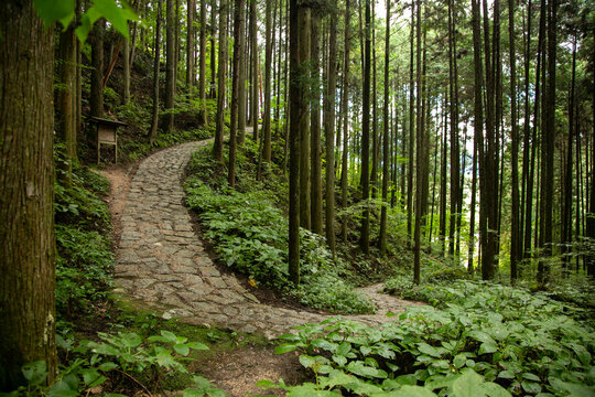 Walking the cobblestone road following the Nakasendo trail between Tsumago and Magome in Kiso Valley, Japan.
