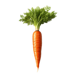 carrots isolated on white