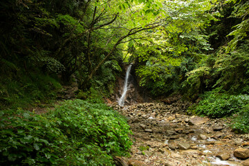 Fototapeta na wymiar Otaki and Metaki Waterfalls are two beautiful nature spots along the Nakasendo Trail in Kiso valley, Japan. 
