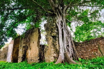 Ruins of the colonial fortification named  'Trocha Majana Mariel' in Cuba. National monument...