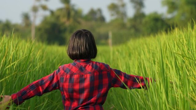 Young Girl in Rice Field: A young girl, lost in a vibrant rice field, explores the endless green landscape, representing the freedom of youth and the beauty of nature.