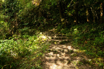 Walking the hiking road following the Nakasendo trail between Tsumago and Magome in Kiso Valley, Japan.