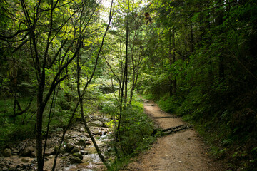 Walking the hiking road following the Nakasendo trail between Tsumago and Magome in Kiso Valley, Japan.