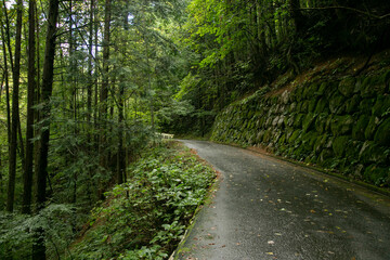 Walking the hiking road following the Nakasendo trail between Tsumago and Magome in Kiso Valley, Japan.