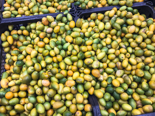 Kumquat in a box ,Fruit Citrus For Food Yellow Green Juicy ,Lying In Box In Supermarket .Concept Vitamin Ingredient