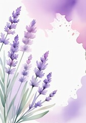 Lavender Watercolor Painting By Artist Michelle - obrazy, fototapety, plakaty
