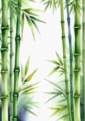 Fototapeta na wymiar Watercolor Painting Bamboo